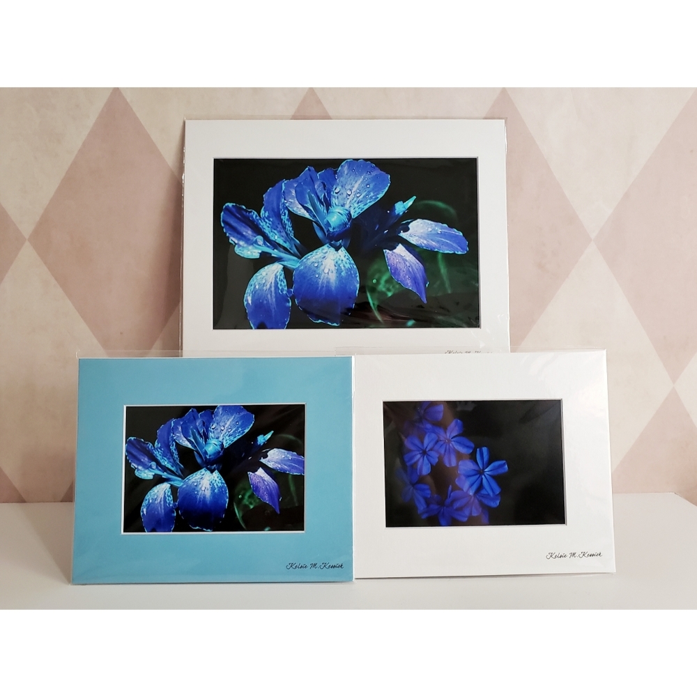 Blue Flower Photography Prints